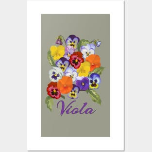 Viola flowers-Vintage Viola-Viola Spring flower Posters and Art